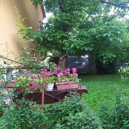 Apartament W Domu Na Wsi Томашув-Любельский Экстерьер фото
