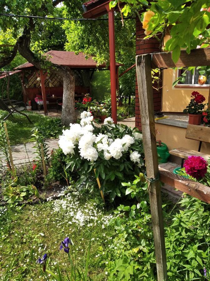 Apartament W Domu Na Wsi Томашув-Любельский Экстерьер фото