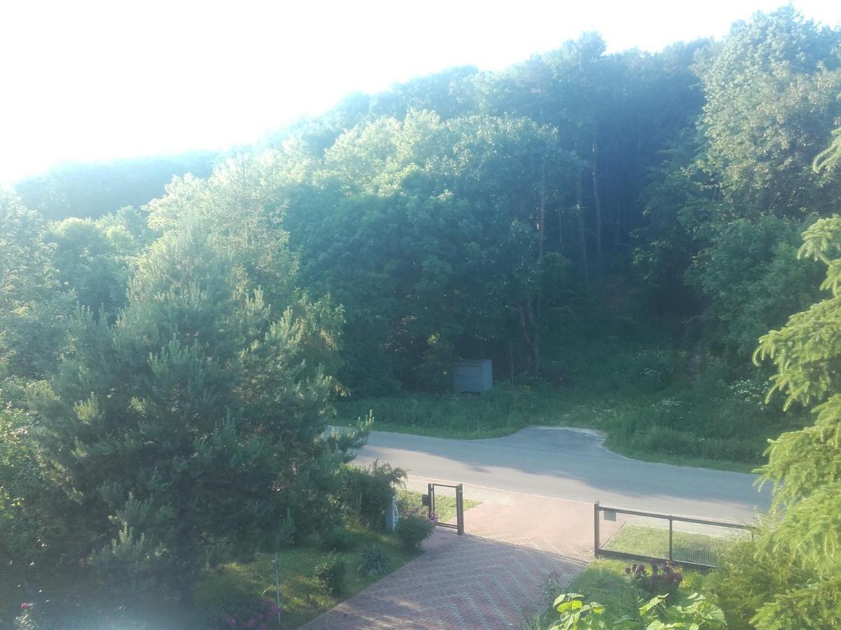 Apartament W Domu Na Wsi Томашув-Любельский Экстерьер фото